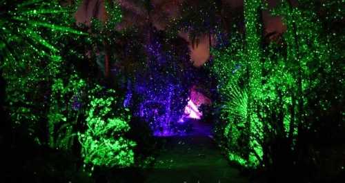party light for gardens