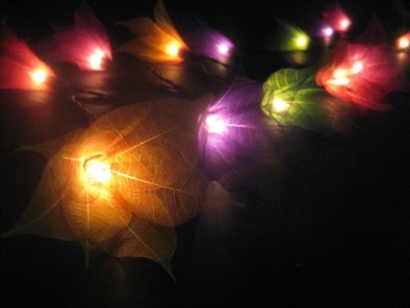 Multi-Coloured  Liladee Flower - Fairy Lights