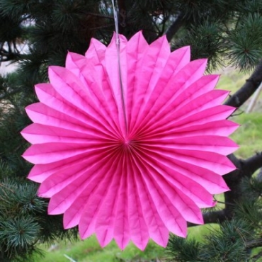 Pink daisy lantern (5pcs)