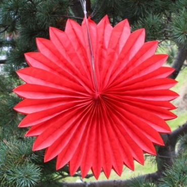 Red daisy lantern (5pcs)