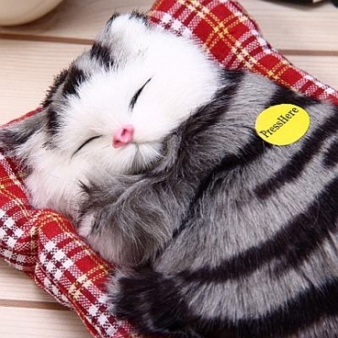 Sleeping Cute Kitten Decoration