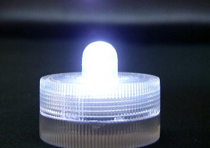 White Submersible LED light