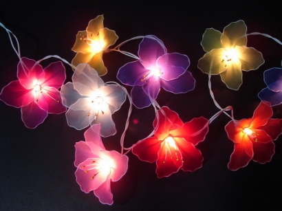 Mixed Colour Hibiscus String light