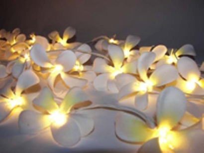 White Frangipani Style - fairy lights