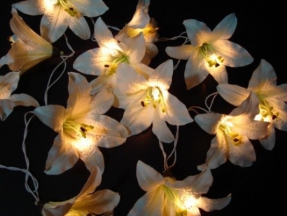 Cream Lily String Light