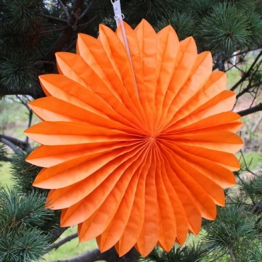 Orange daisy lantern (5pcs)