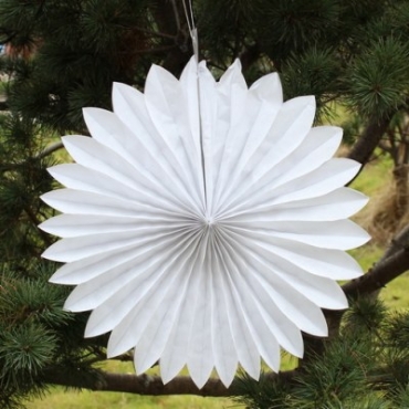 White daisy lantern (5pcs)