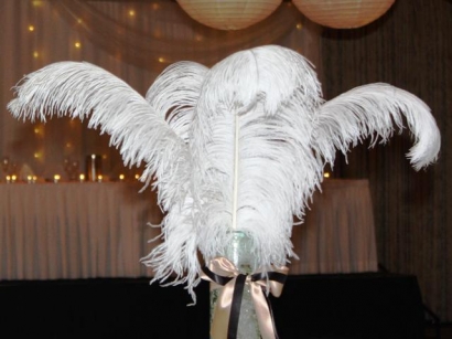 White Ostrich Feather