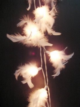 White Feather String Light