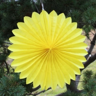 Yellow daisy lantern (5pcs)